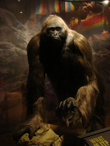 Gigantopithecus 2 Forgotten Monsters