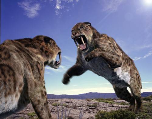 Smilodon 2 Forgotten Monsters