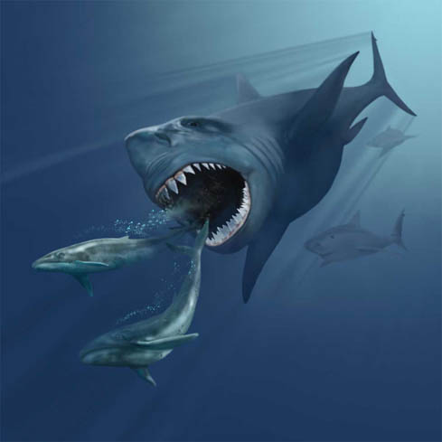 megalodon 1 Forgotten Monsters