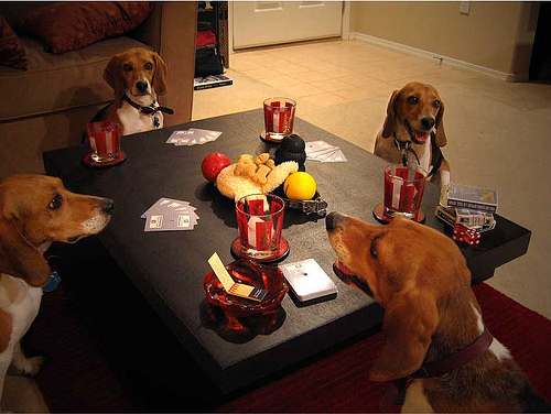 dogs playing poker picture. Dogs Playing Poker