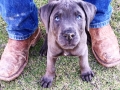 @jax_thecorso