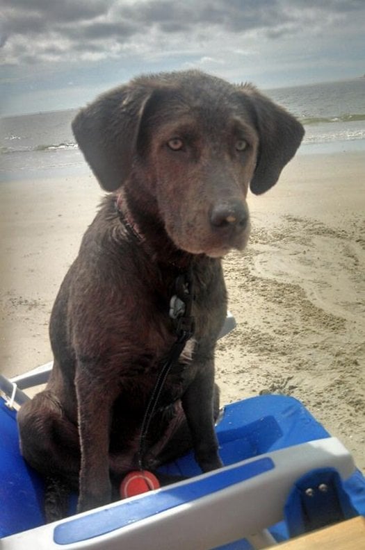 Max says "Take me to the beach, Mom!"
