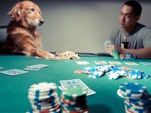 dogs playing poker figurine