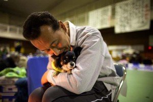 Animals in the Disaster in Japan | Animals Zone