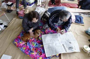 Animals in the Disaster in Japan | Animals Zone