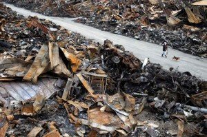 Animals in the Disaster in Japan | Animals Zone