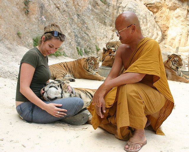A woman caresses a tiger