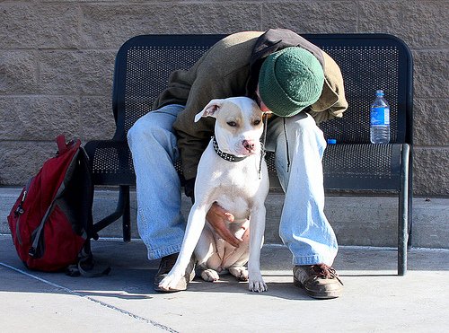 More than Companionship; How Pets can Boost your Health | Animals Zone