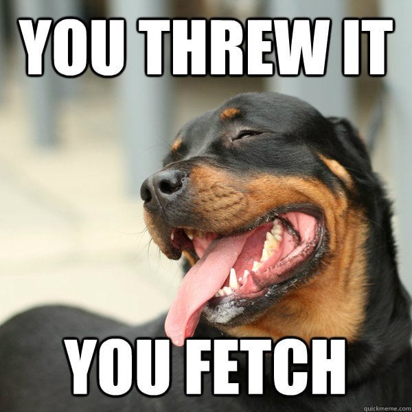 You Fetch it dog meme