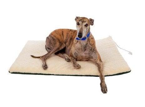 Thermo Bed for Dogs