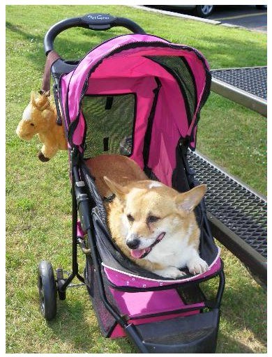 Stroller for dogs