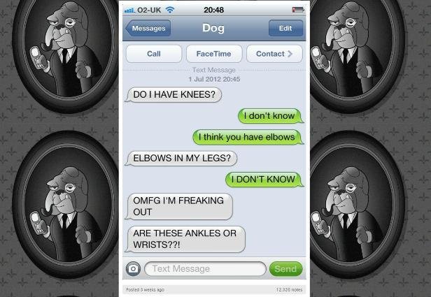 Text From Dog is confused