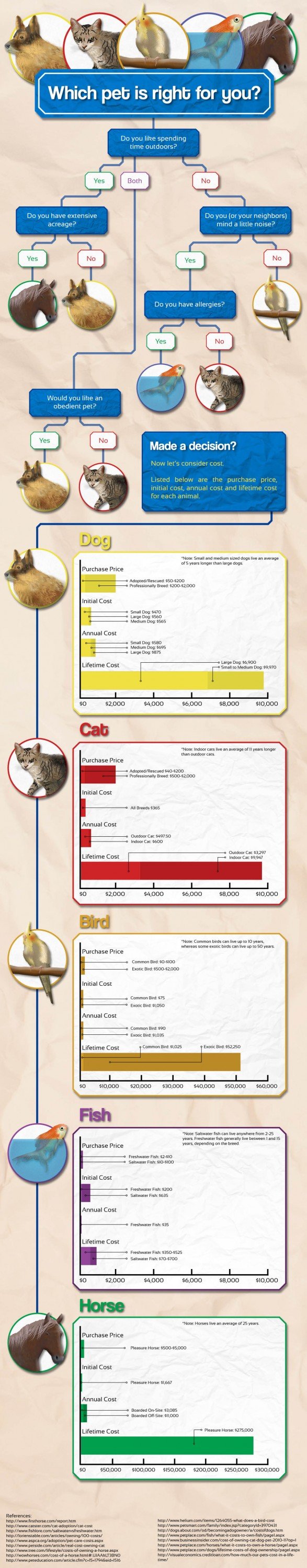 Which Pet is Right for You?