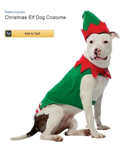 elf-dog