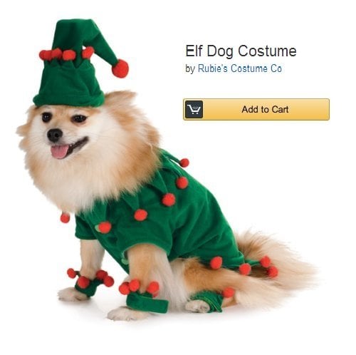 elf-dog-costume