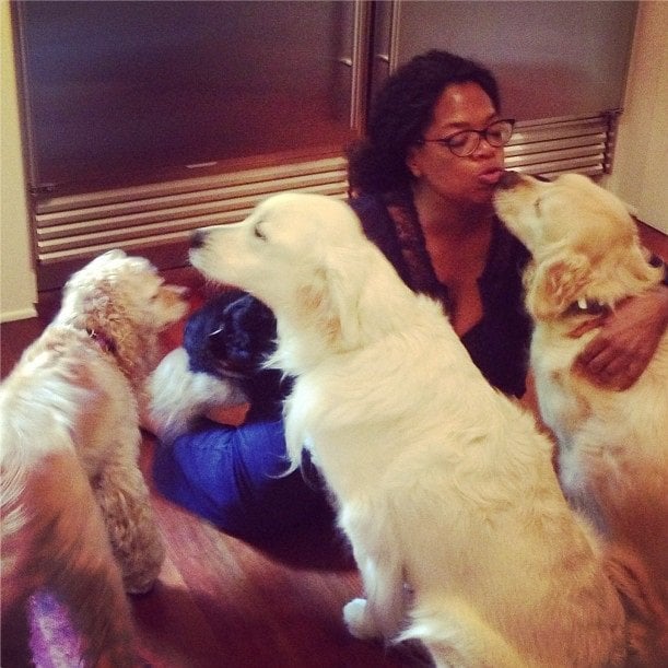 oprah-dogs