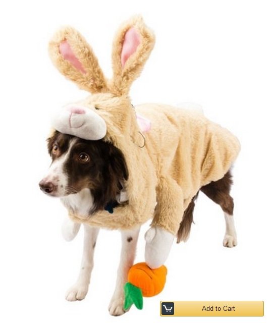 bunny-dog-costume