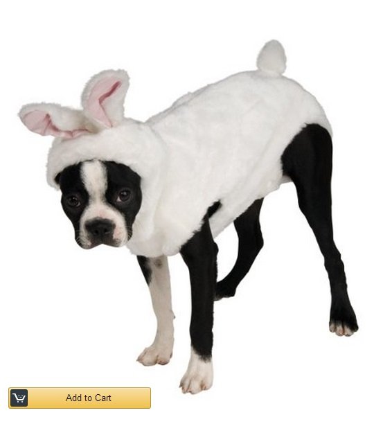 dog-costume