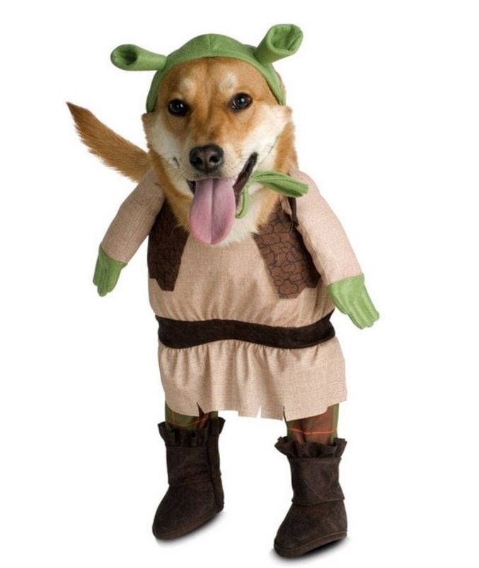 Shrek Costume | Animals Zone