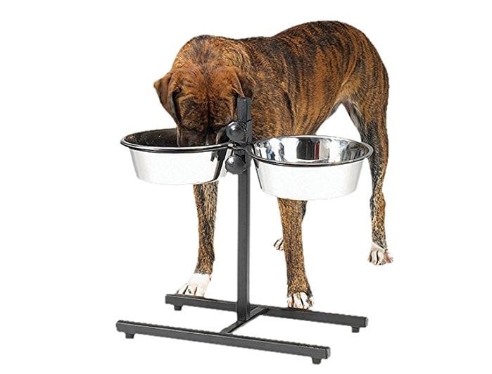Stainless Steel Adjustable Dog Diner Bowl | Animals Zone