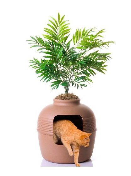 Hidden Litter Box | Animals Zone