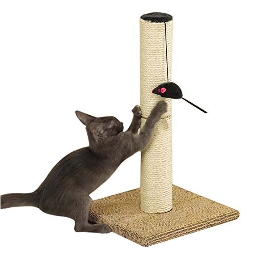 Scratching Cat Post | Animals Zone