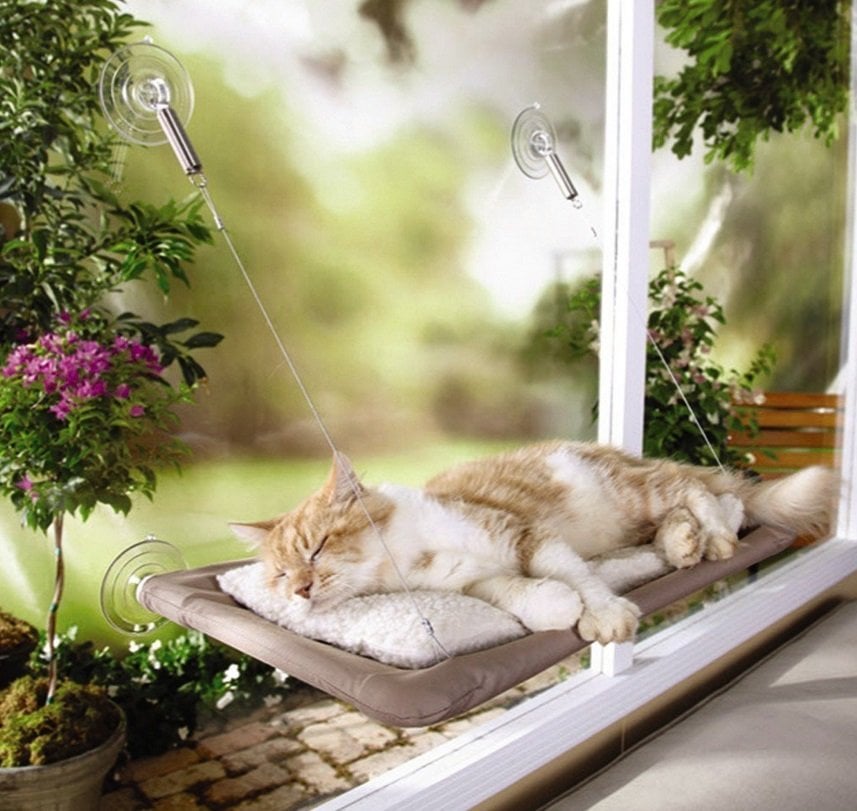 Cat Window Seat | Animals Zone