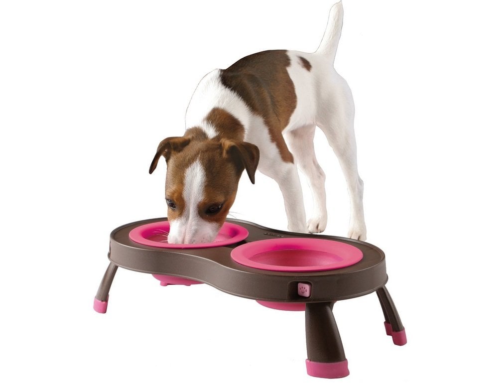 Collapsible Pet Feeder | Animals Zone