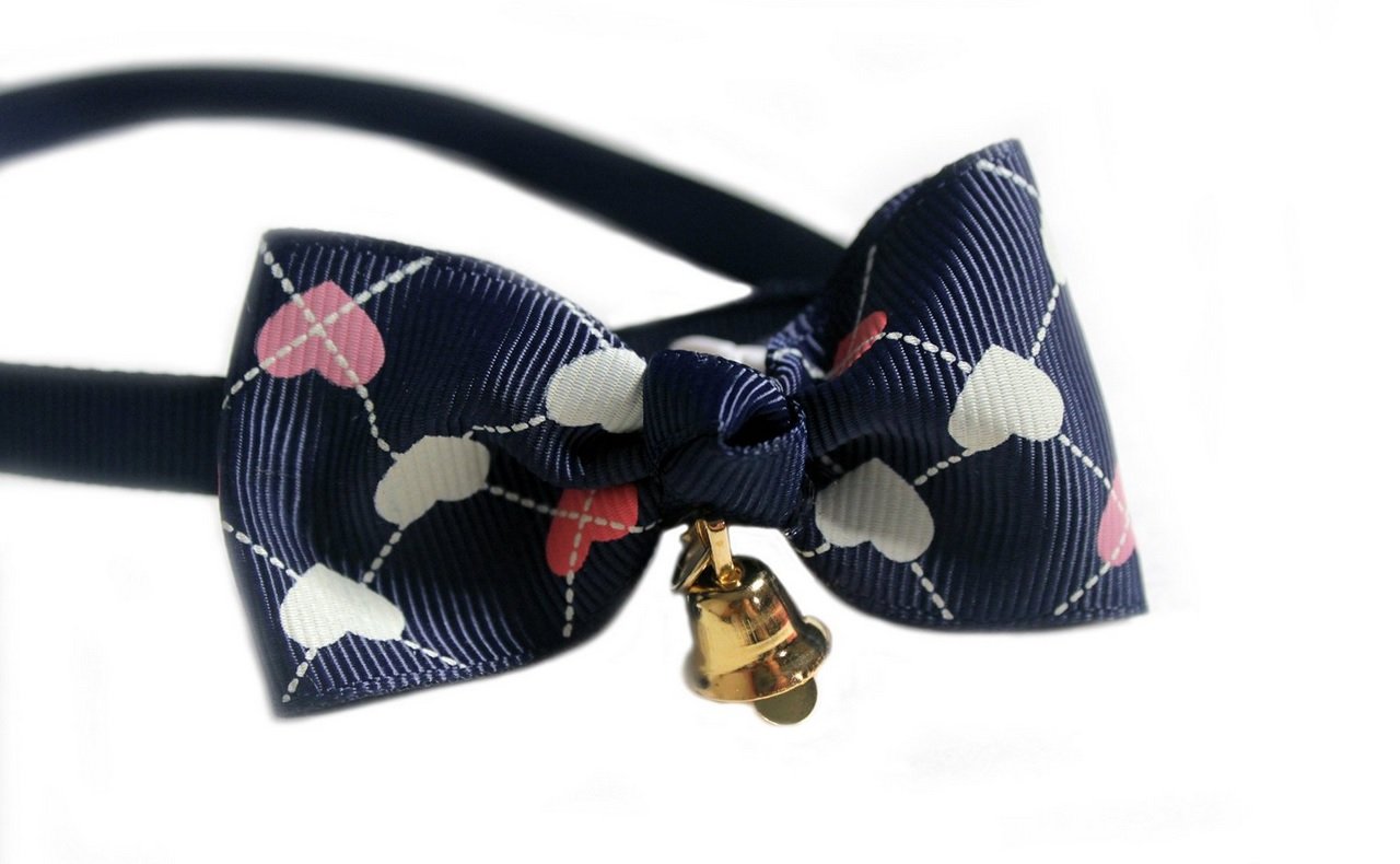 bow-tie