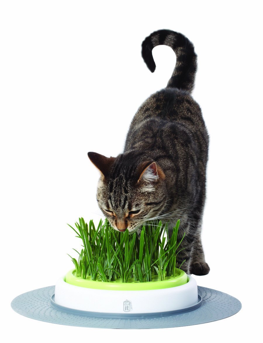 Grass Garden Kit | Animals Zone