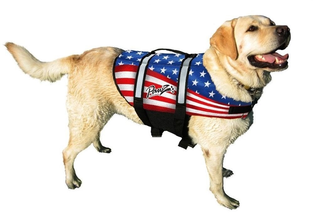 pool-dog-life-jacket