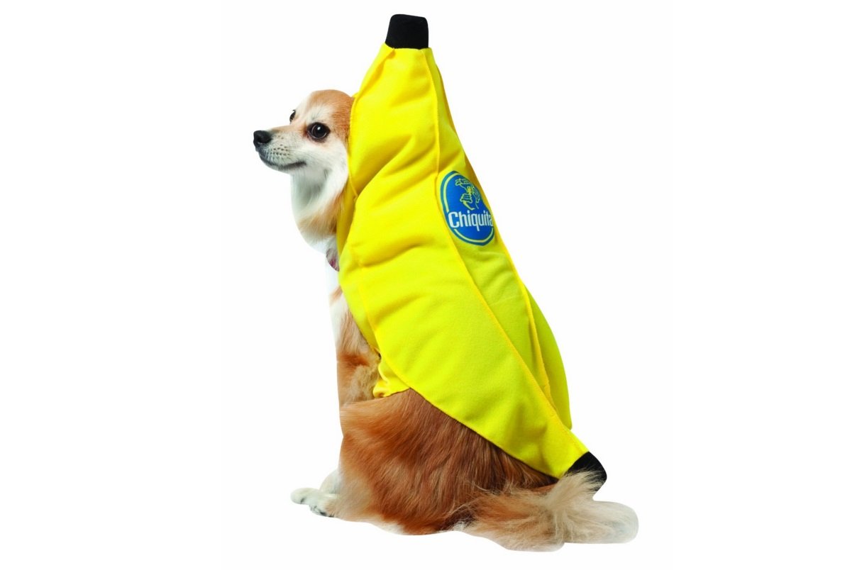 Chiquita Banana | Animals Zone