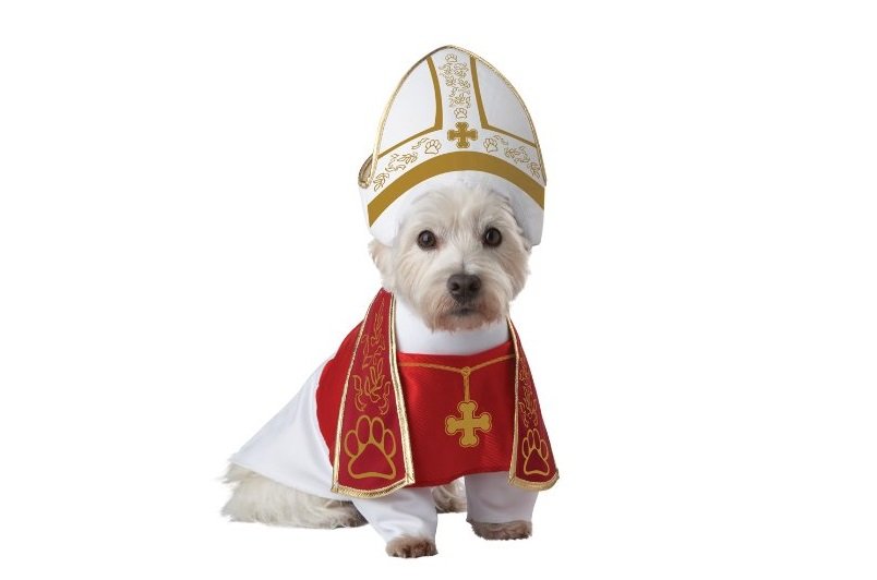 Holy Hound Dog Costume | Animals Zone