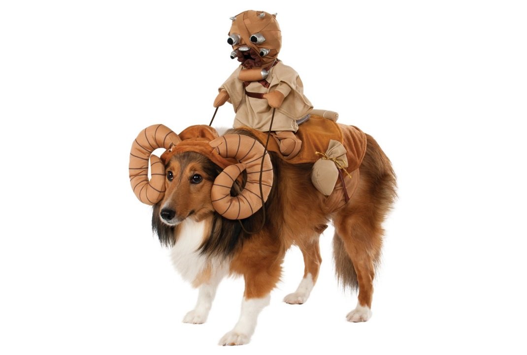 Star Wars Bantha | Animals Zone