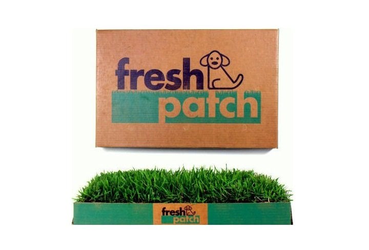 Fresh Patch Disposable Dog Potty with REAL Grass | Animals Zone