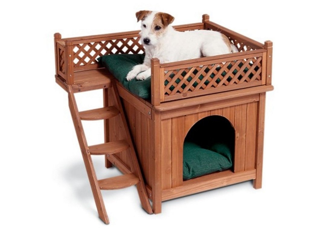 Merry Pet Wood Room with a View Pet House | Animals Zone