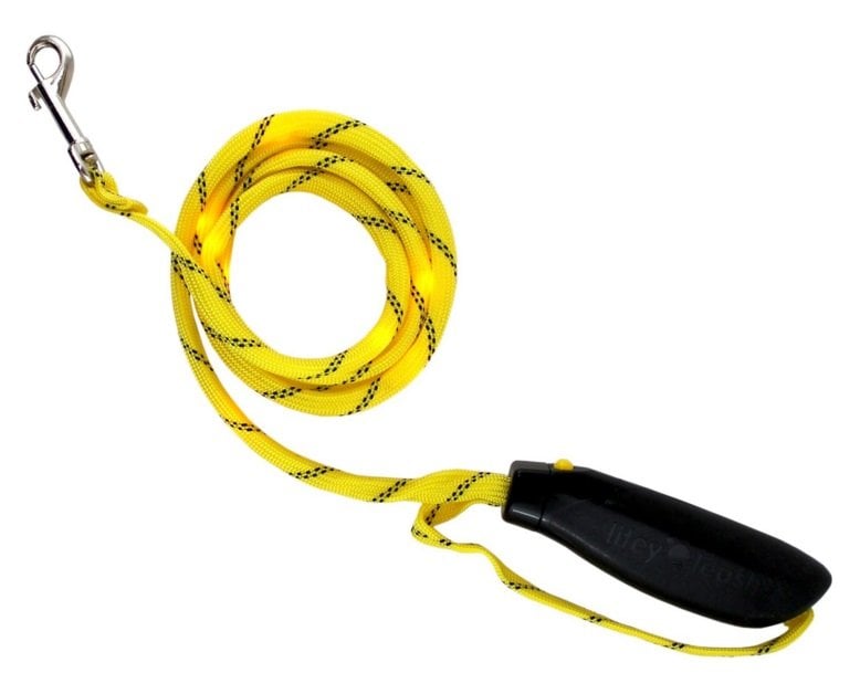 Holiday Gift Guide: Litey Leash The 5-Foot LED Nighttime Leash | Animals Zone