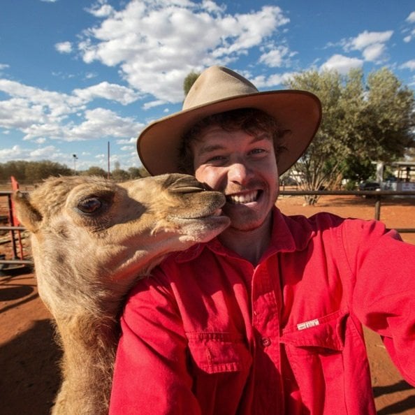 On a Camel farm | Animals Zone